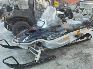 Arctic Cat Panther