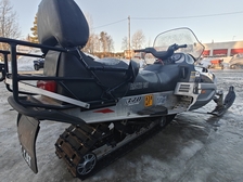 Arctic Cat Panther