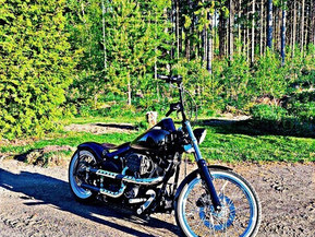 Harley-Davidson Softail