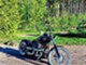 Harley-Davidson Softail