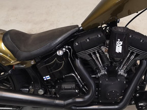 Harley-Davidson Softail