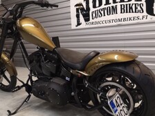 Harley-Davidson Softail