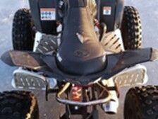 Can-Am DS