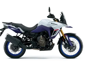 Suzuki DL