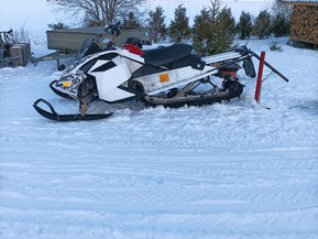 Ski-Doo Freeride