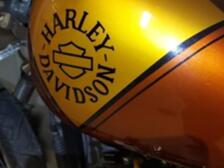 Harley-Davidson Dyna