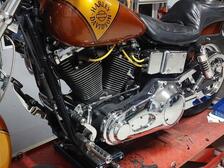 Harley-Davidson Dyna