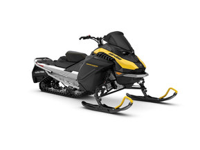 Ski-Doo Renegade
