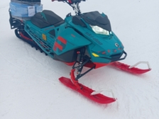 Ski-Doo Freeride