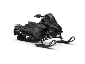 Ski-Doo Renegade