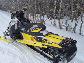 Ski-Doo Renegade