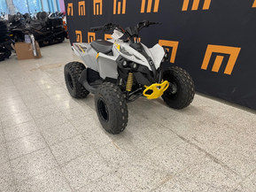 Can-Am renegade