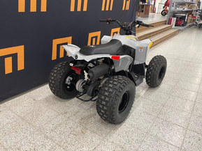 Can-Am renegade