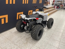 Can-Am renegade