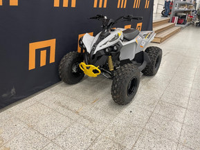 Can-Am renegade