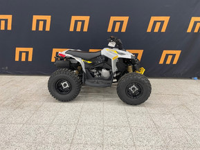 Can-Am renegade