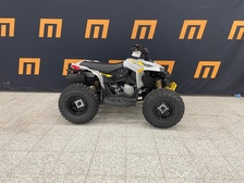 Can-Am renegade