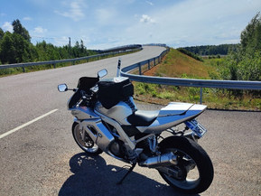 Suzuki SV