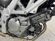 Suzuki SV