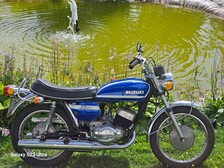 Suzuki T