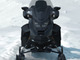 Ski-Doo Expedition