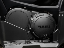 Yamaha Grizzly