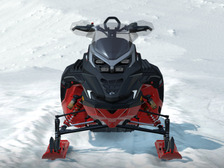 Lynx Brutal RE 500 MM