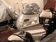 Honda CL