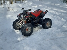 Polaris Predator