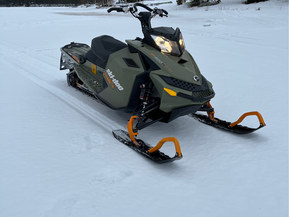 Ski-Doo Freeride