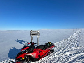 Lynx Brutal RE 500 MM