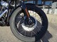 Harley-Davidson Softail