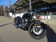 Harley-Davidson Softail