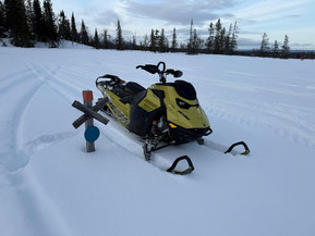 Ski-Doo Freeride