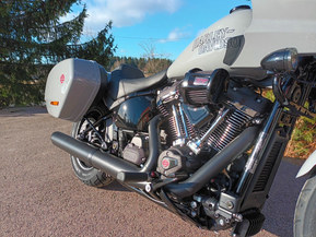 Harley-Davidson Softail