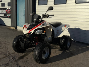 Can-Am DS