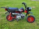 Honda Monkey