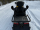 Ski-Doo Expedition
