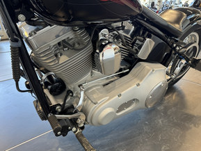 Harley-Davidson Softail