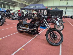 Harley-Davidson Softail