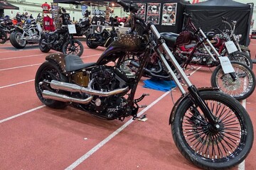 Harley-Davidson Softail