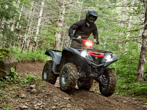 Yamaha Grizzly