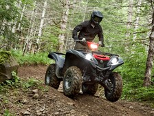 Yamaha Grizzly