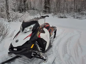 Lynx X-trim