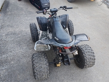Can-Am DS