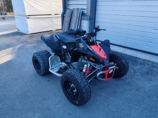 Can-Am DS