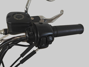 Harley-Davidson Softail