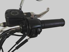 Harley-Davidson Softail