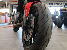 Ducati Monster
