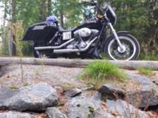 Harley-Davidson Dyna